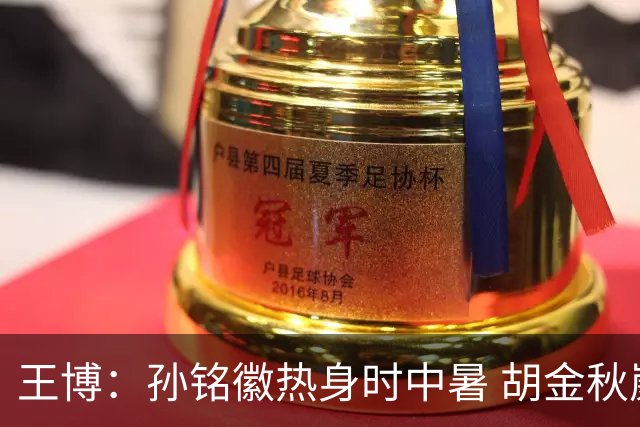 王博：孙铭徽热身时中暑 胡金秋崴脚影响士气